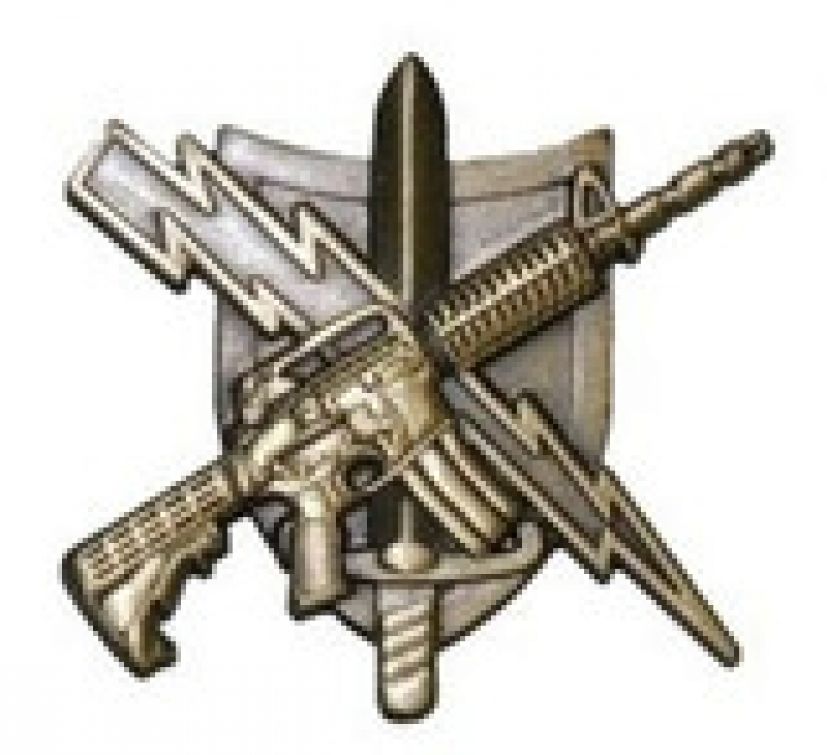 TACTICAL PATROL OFFICER PIN - ANTIQUE GOLD.